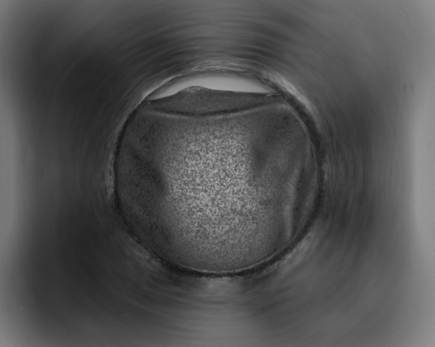 X0000093261025200710101455