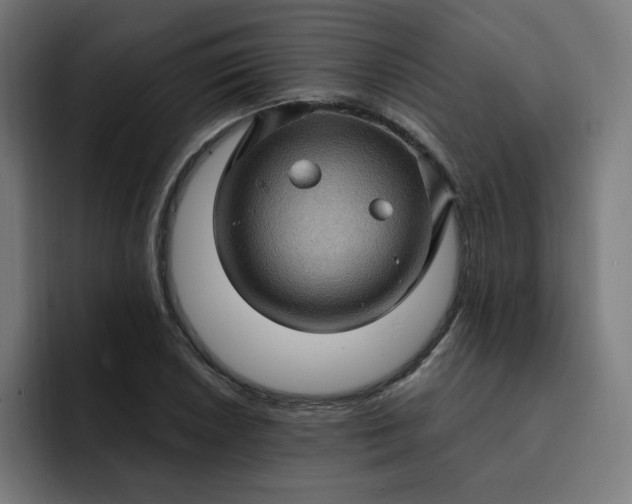 X0000093261026200710101455