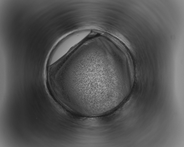 X0000093261028200710101455