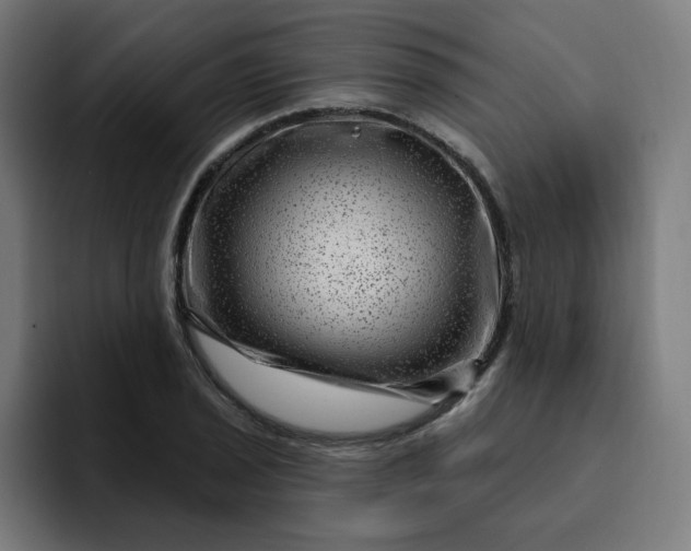 X0000093261029200710101455