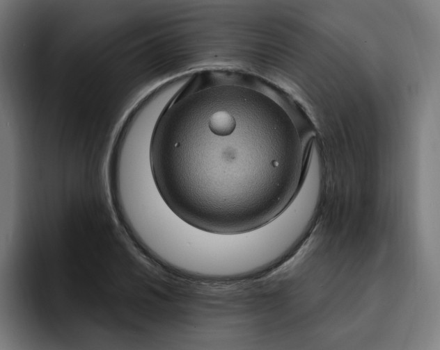 X0000093261030200710101455