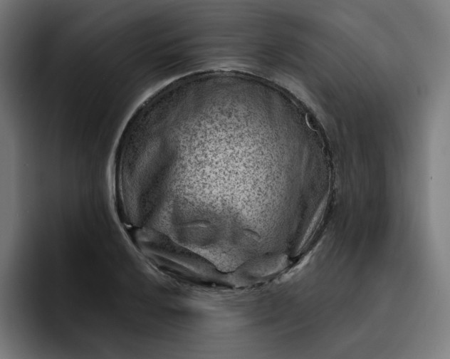 X0000093261032200710101455