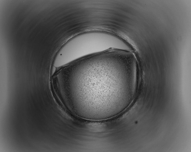 X0000093261033200710101455