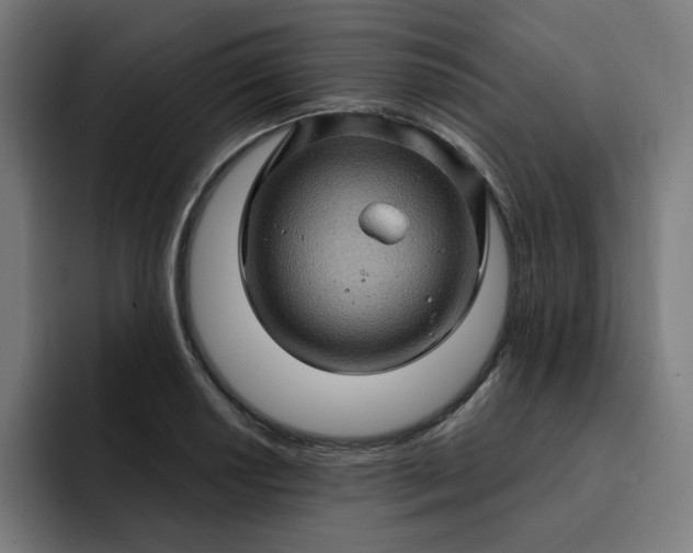 X0000093261034200710101455