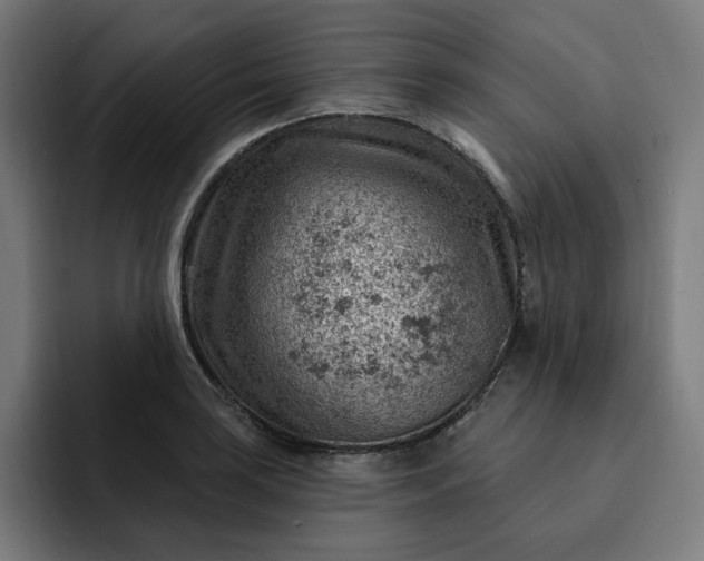 X0000093261035200710101455