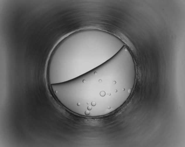 X0000093261036200710101455