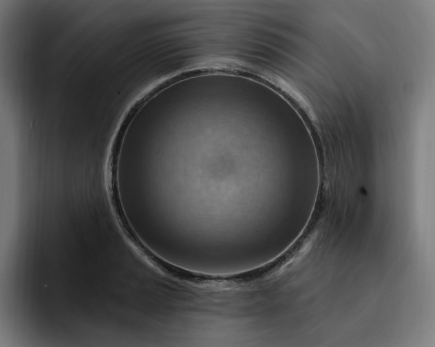 X0000093261037200710101455