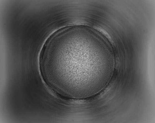 X0000093261039200710101455