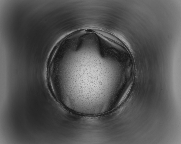 X0000093261040200710101455