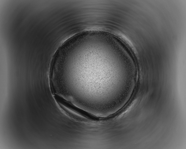 X0000093261041200710101455