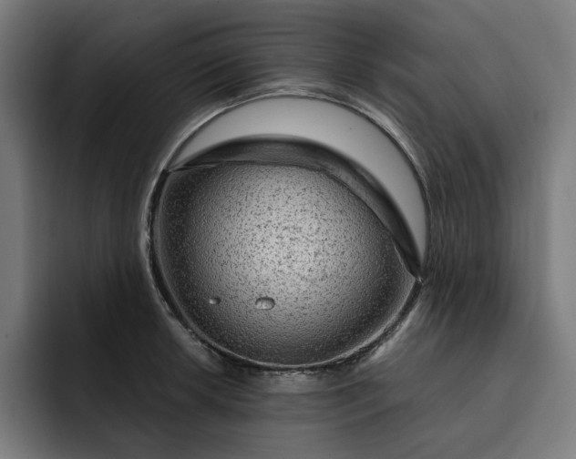 X0000093261042200710101455