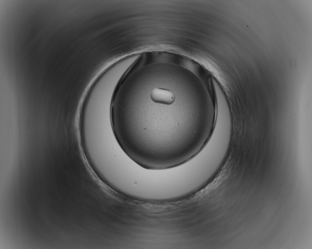 X0000093261046200710101455