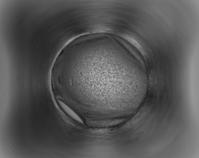 X0000093261047200710101455