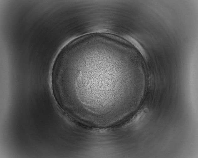 X0000093261051200710101455