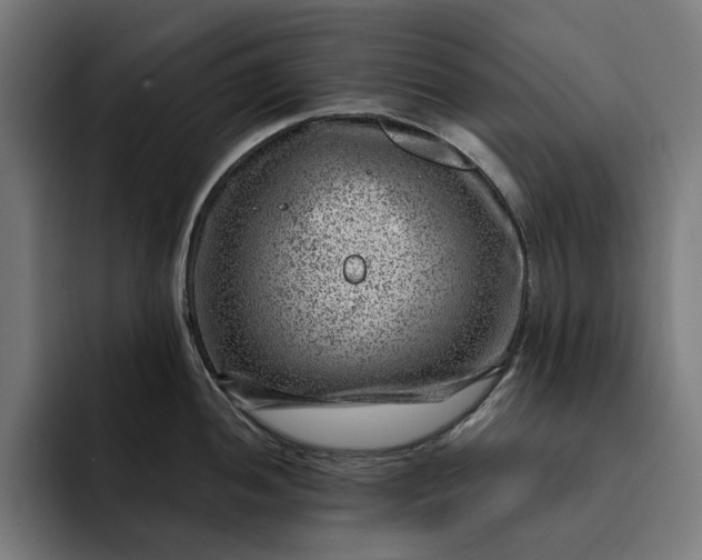 X0000093261052200710101455