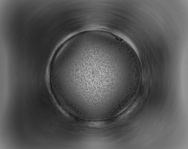 X0000093261053200710101455