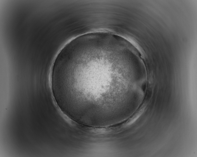 X0000093261054200710101455