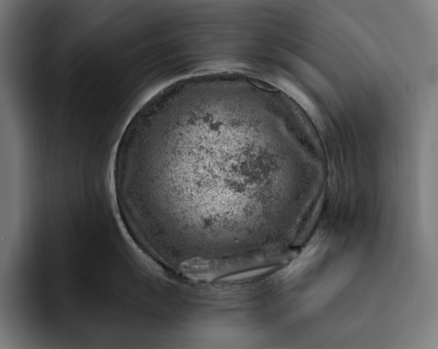 X0000093261055200710101455