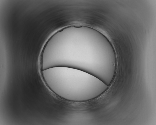 X0000093261056200710101455