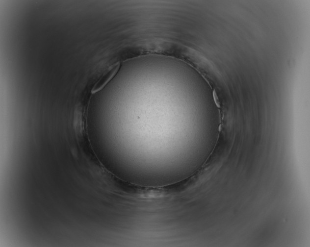 X0000093261058200710101455