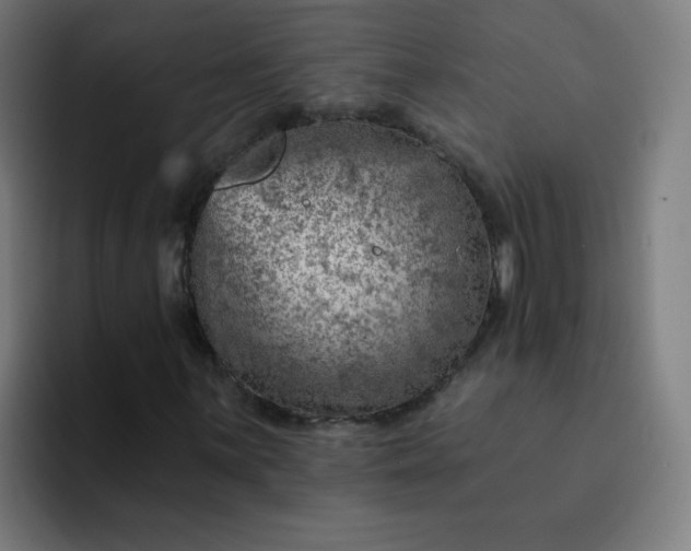 X0000093261059200710101455