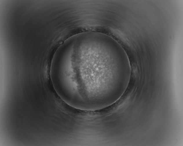 X0000093261060200710101455