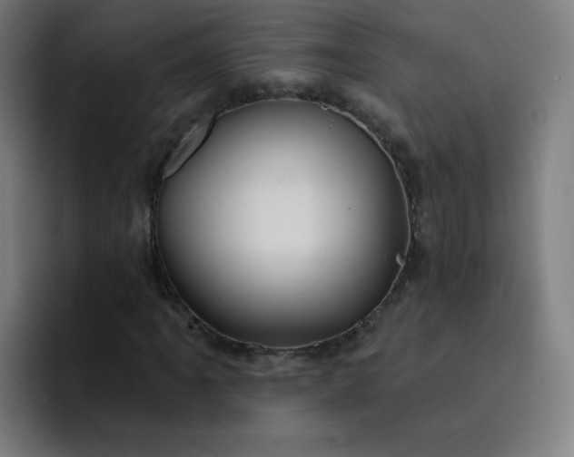 X0000093261061200710101455