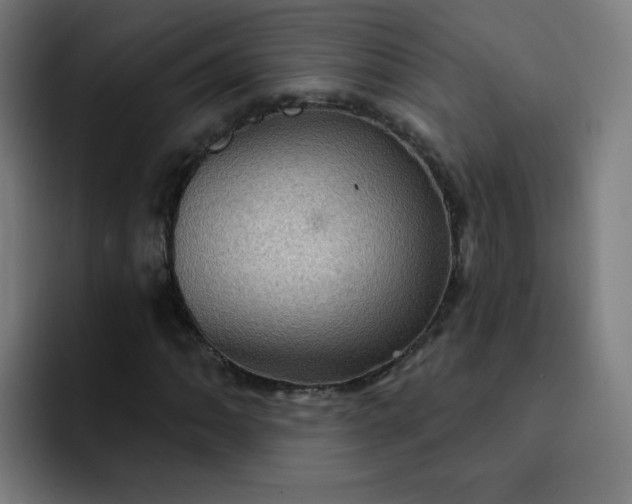 X0000093261062200710101455