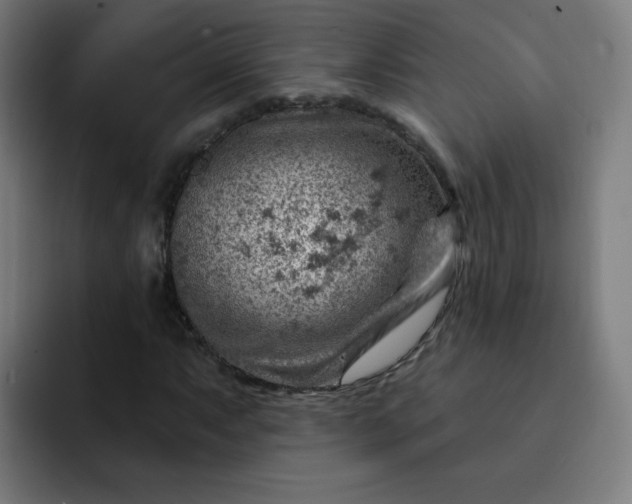 X0000093261063200710101455