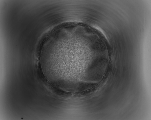 X0000093261064200710101455