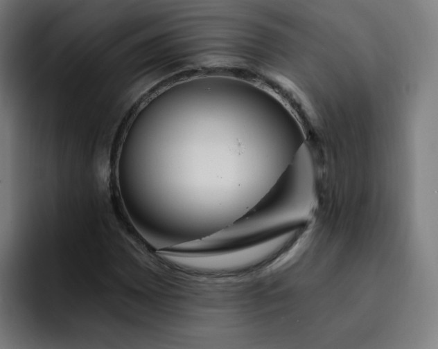 X0000093261065200710101455