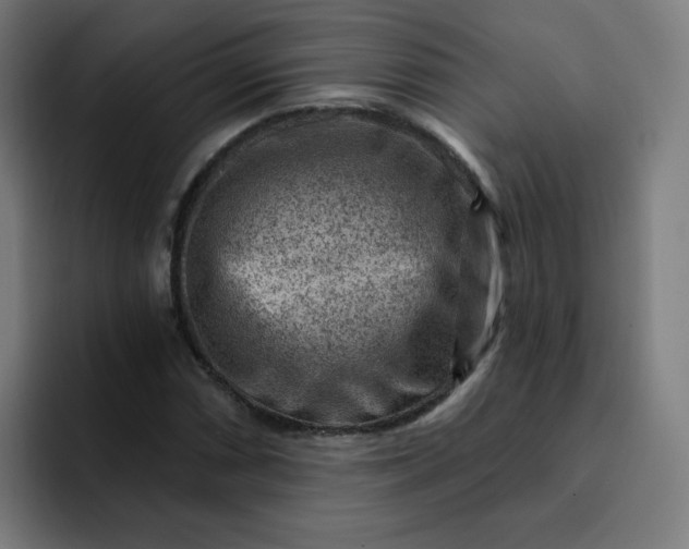 X0000093261066200710101455