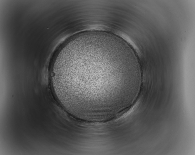 X0000093261067200710101455