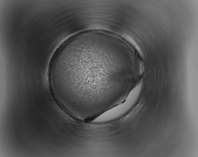 X0000093261068200710101455