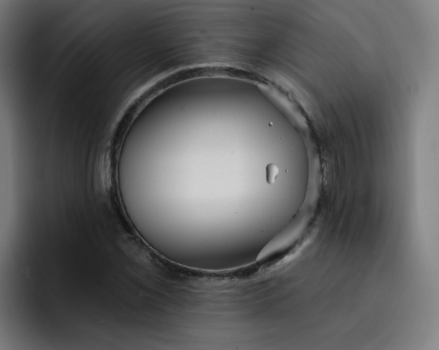 X0000093261069200710101455