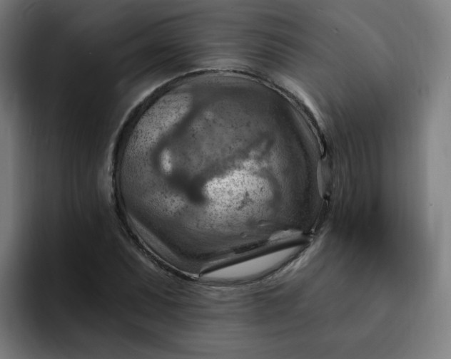 X0000093261071200710101455