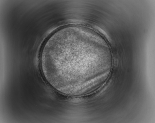 X0000093261074200710101455