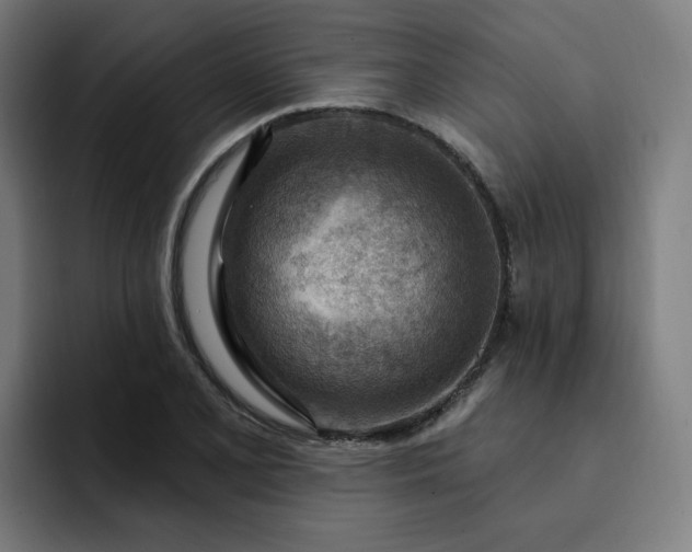 X0000093261077200710101455