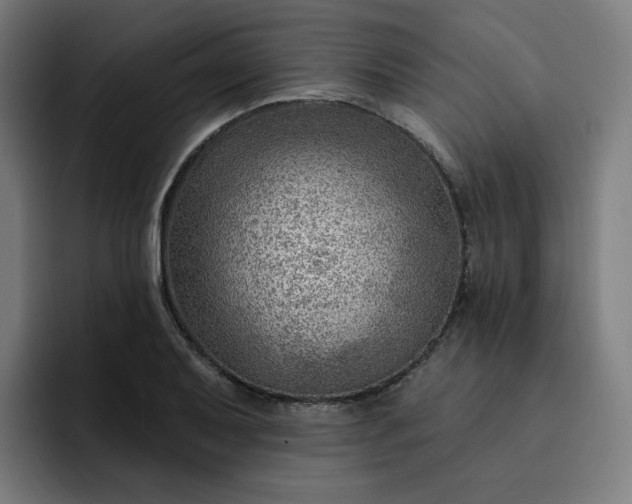 X0000093261079200710101454