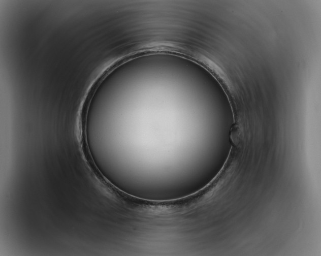 X0000093261082200710101454