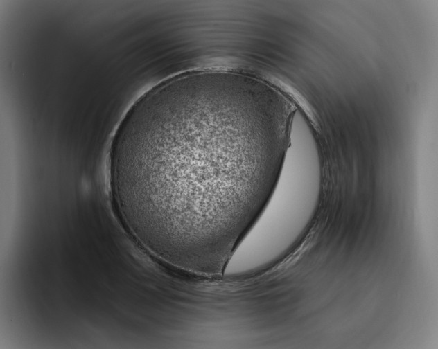 X0000093261083200710101454