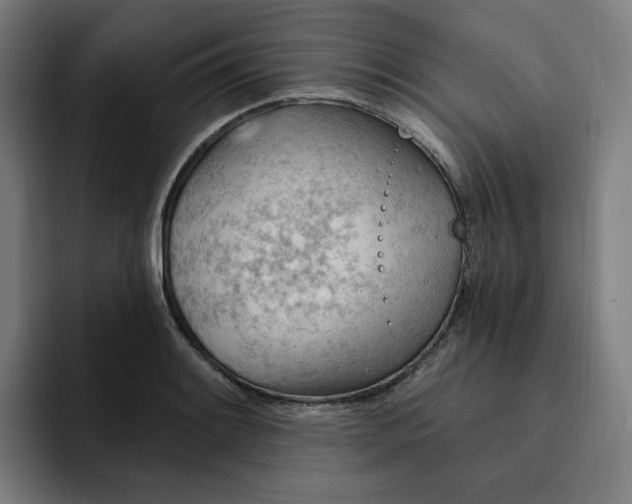 X0000093261084200710101454