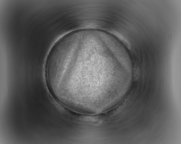 X0000093261086200710101454