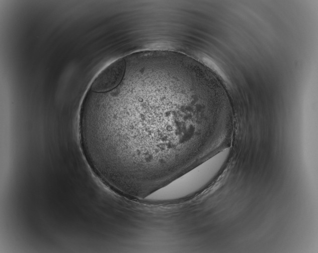 X0000093261087200710101454