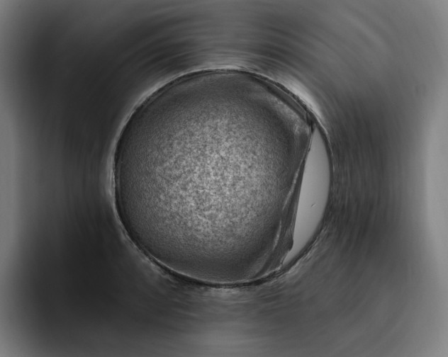 X0000093261088200710101454