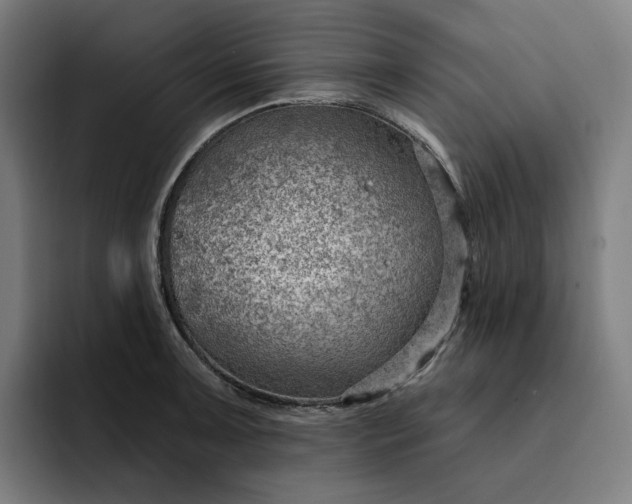 X0000093261091200710101454