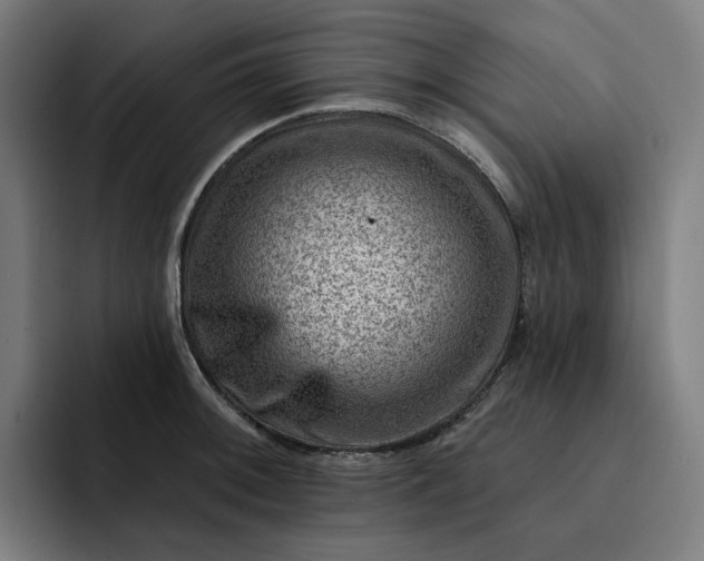 X0000093261092200710101454