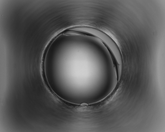 X0000093261093200710101454