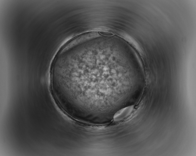 X0000093261095200710101454