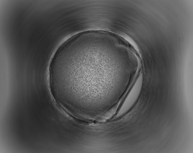 X0000093261096200710101454